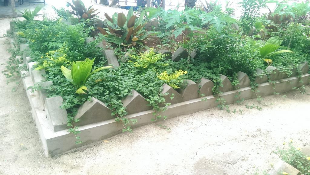 Union Beach Bungalow Nungwi Bagian luar foto