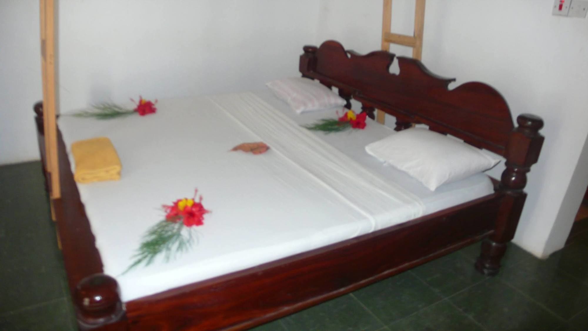 Union Beach Bungalow Nungwi Bagian luar foto